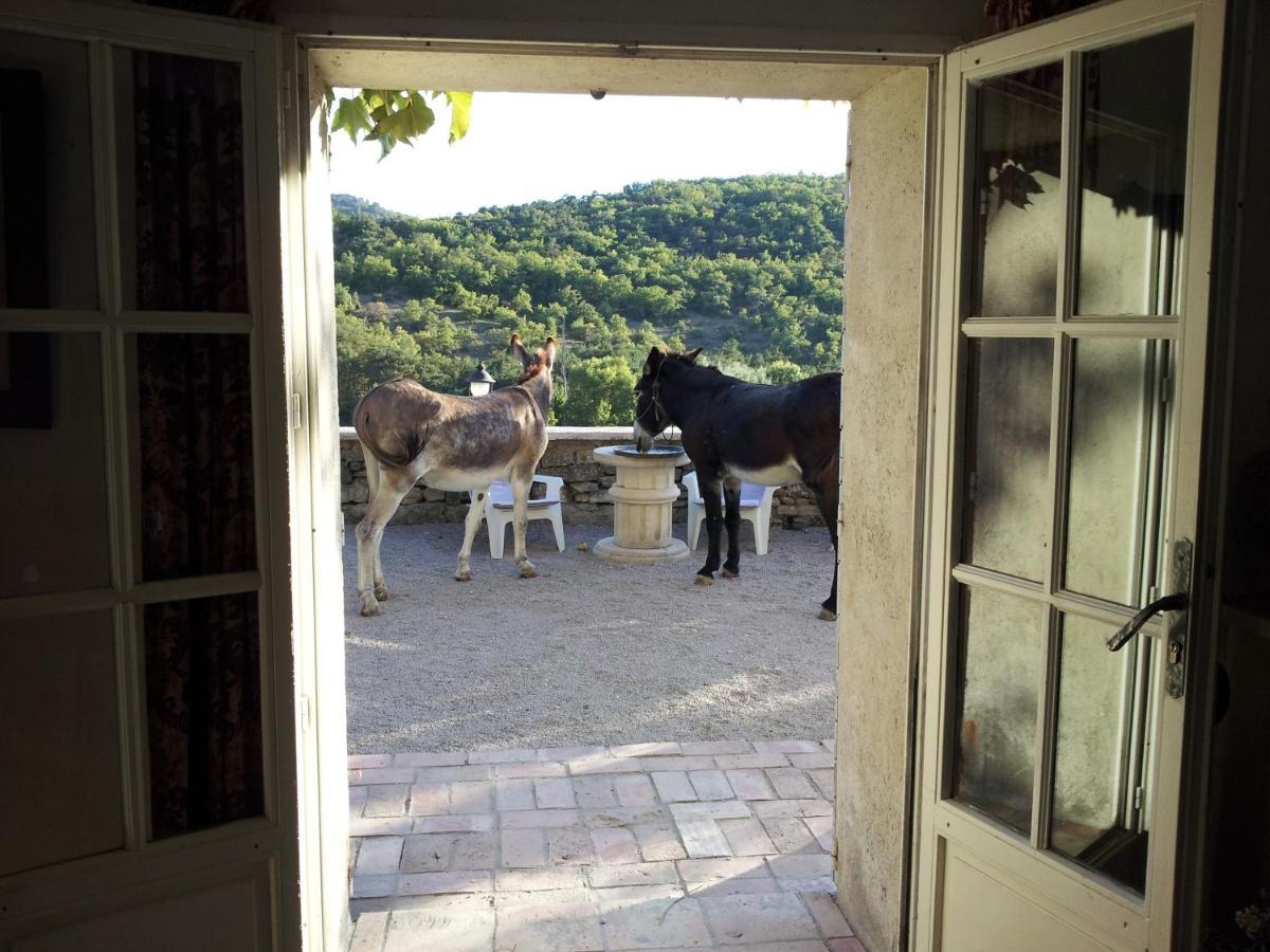 Bed and Breakfast Le Relais D'Elle Niozelles Exterior foto